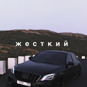 欧美肥少妇和中美少妇肛门和BB
