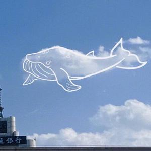 欧美肥少妇和中美少妇肛门和BB
